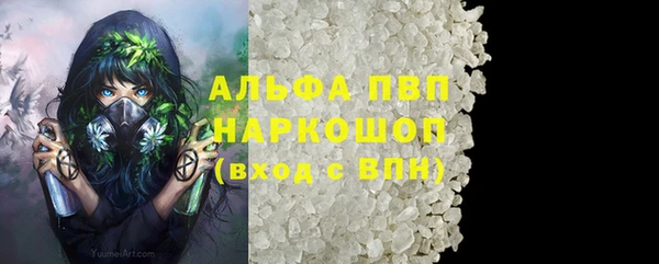 PSILOCYBIN Нязепетровск