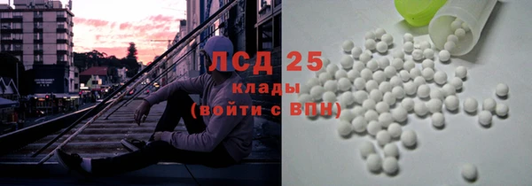 крисы Лагань