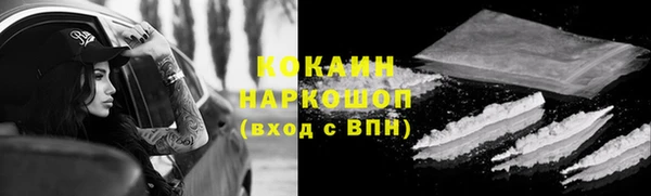 крисы Лагань