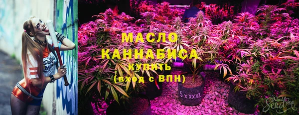 прущий лед Новозыбков