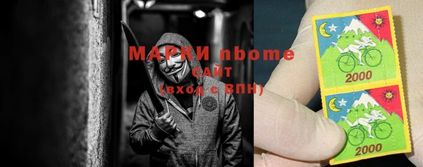 прущий лед Новозыбков
