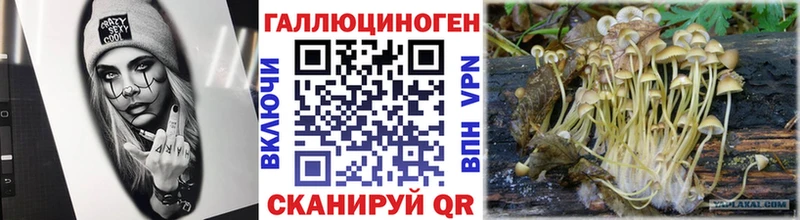 Галлюциногенные грибы MAGIC MUSHROOMS  Полевской 