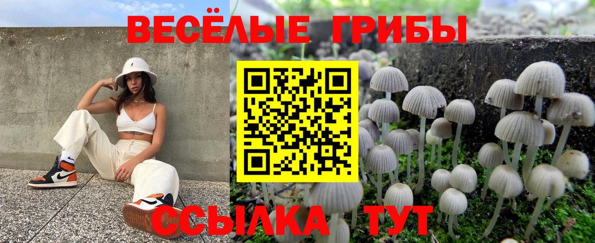 Псилоцибиновые грибы GOLDEN TEACHER  Полевской 