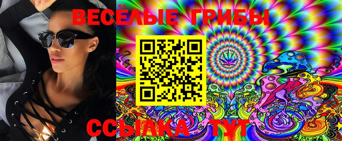 Псилоцибиновые грибы Cubensis Полевской