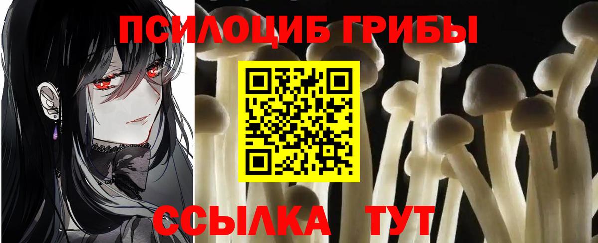 Псилоцибиновые грибы Magic Shrooms Полевской