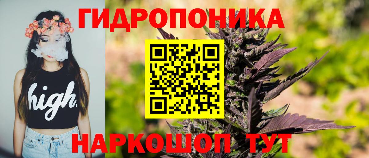 Канабис конопля  Конопля тримм  Полевской  Бошки Шишки планчик 